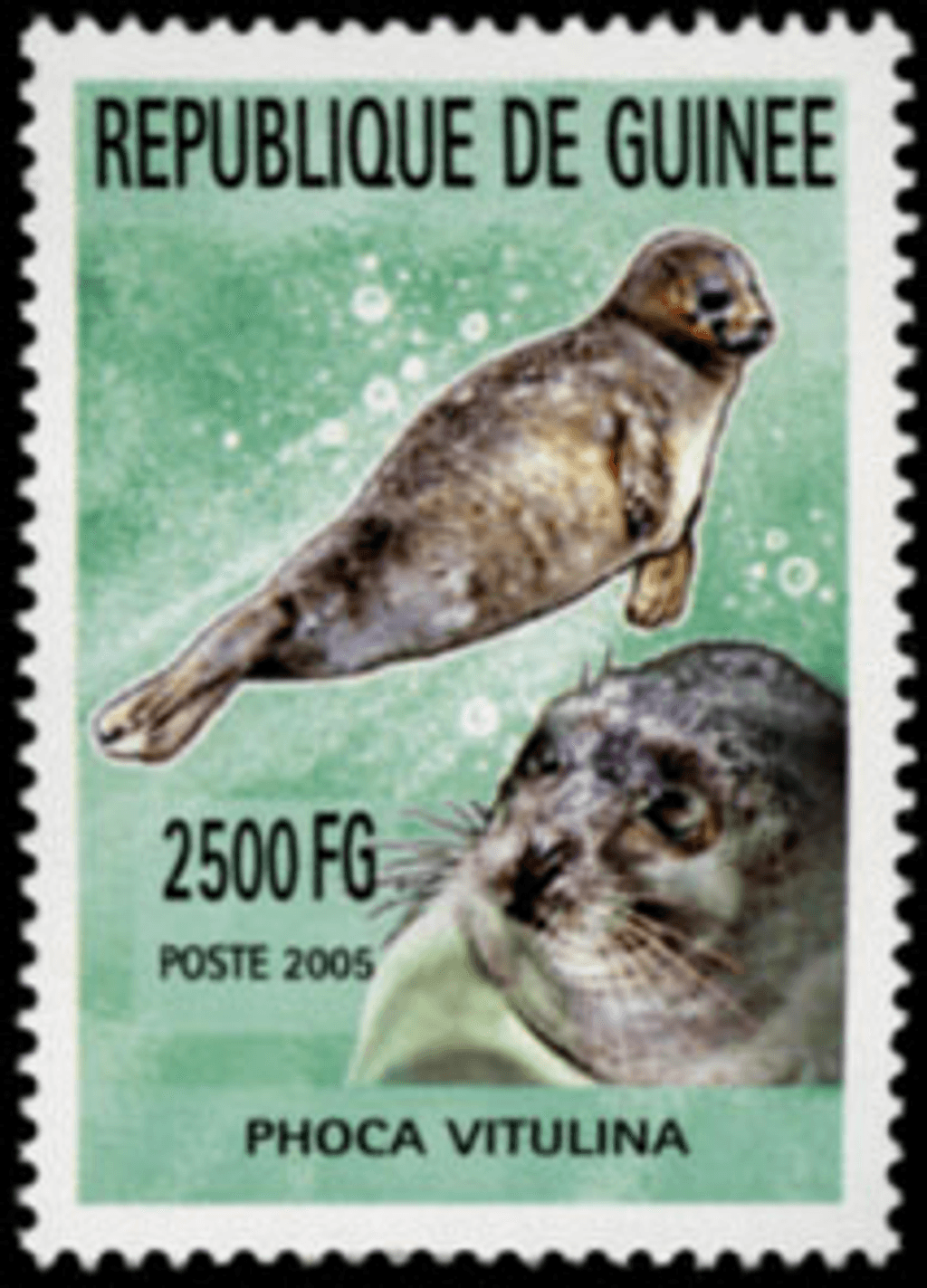 Marine Animals (820)