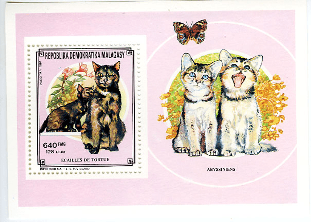 Domestic animals