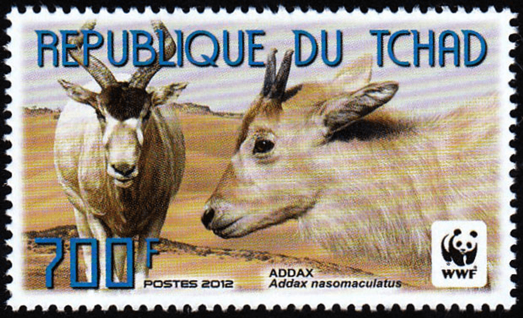 World Wild Nature Antelope 2012