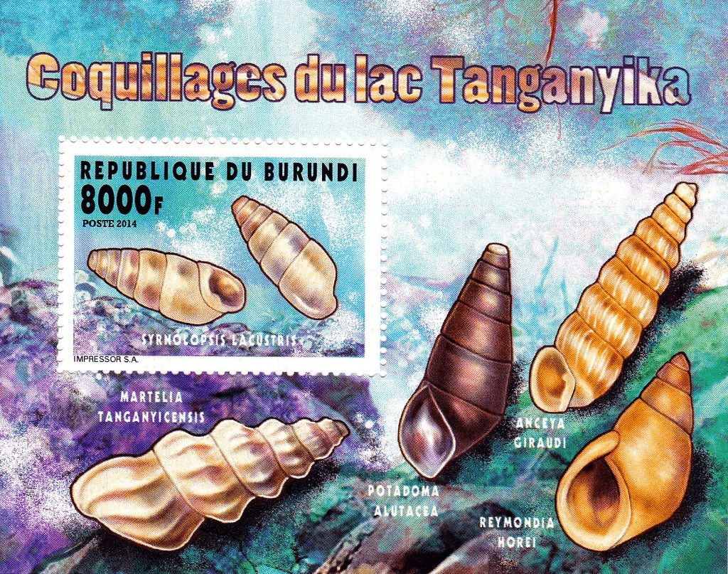 Shellfish Lake Tanganyika 3970