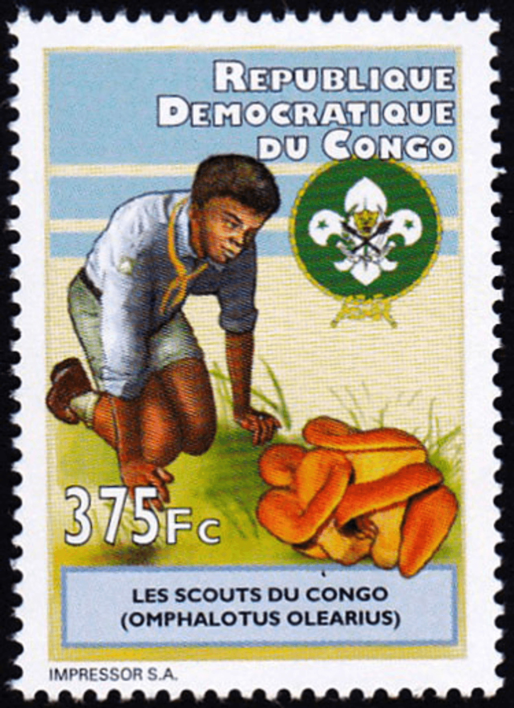 scout and natural science 2012