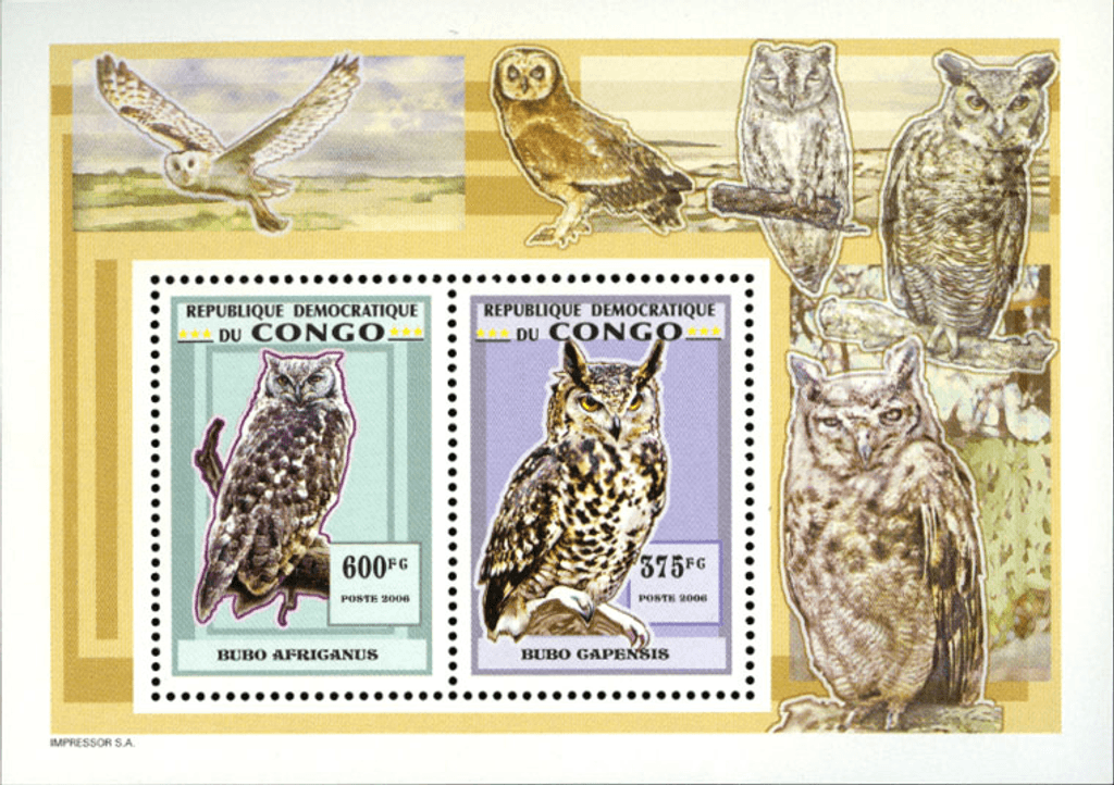 Owls