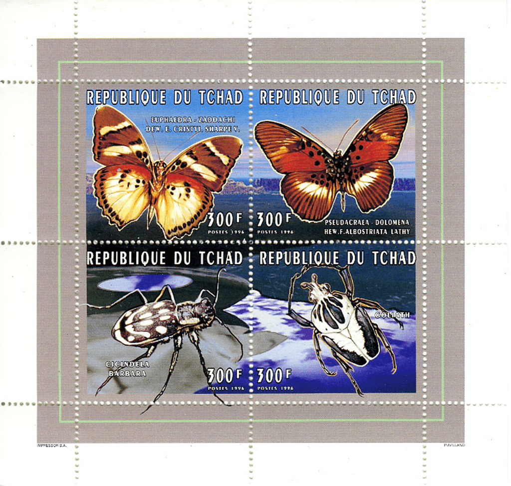 Butterflies & Insects