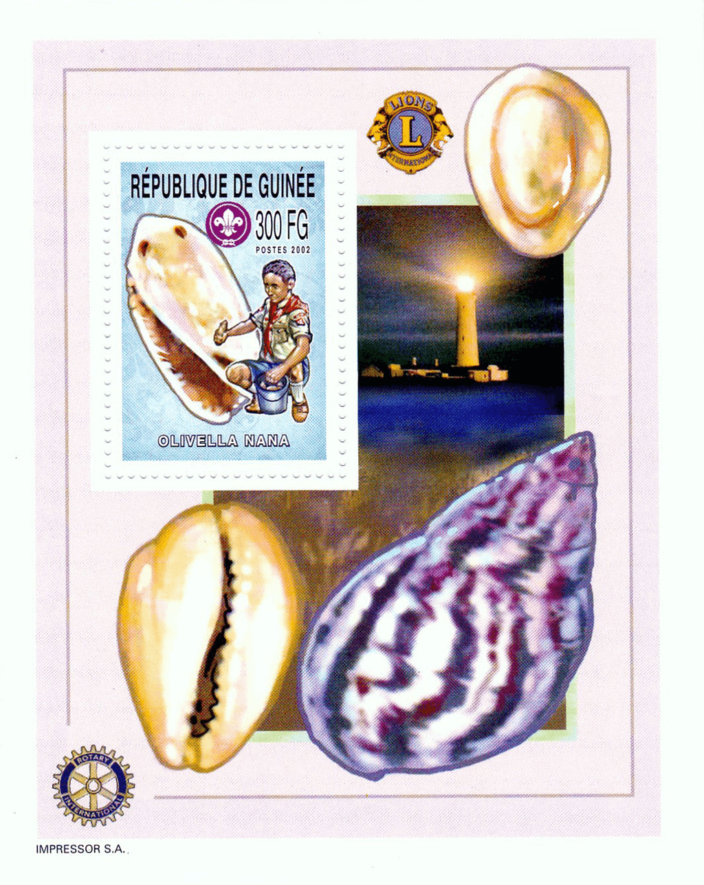 Boy Scout and Sea Snails 2002