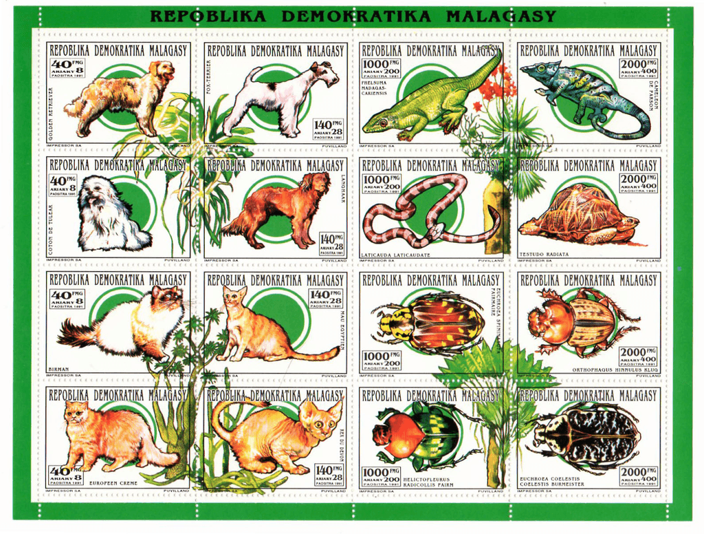 Animals 1993