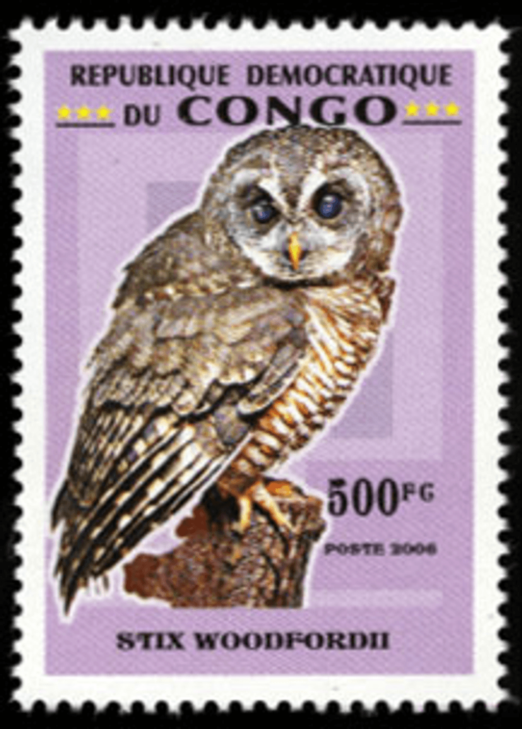 Owls