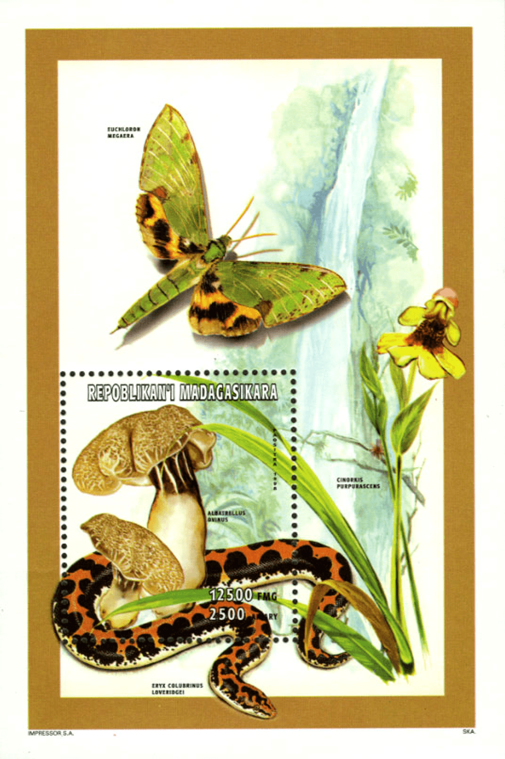 Natural: insects, mushrooms, minerals 1998