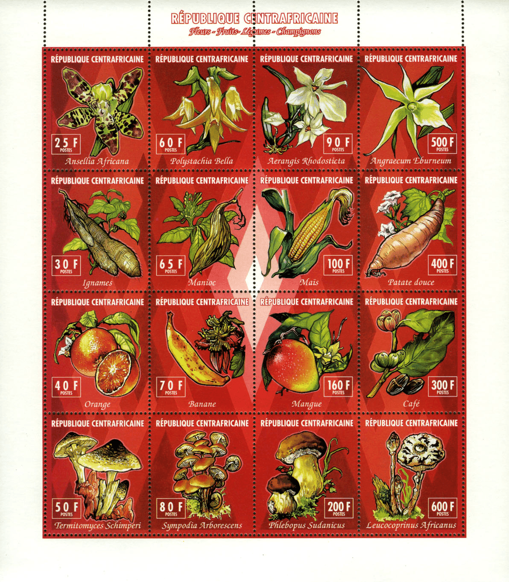 Orchid, flowers, vegetables, fruits & mushrooms