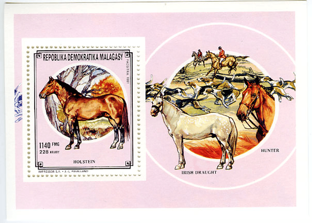 Domestic animals
