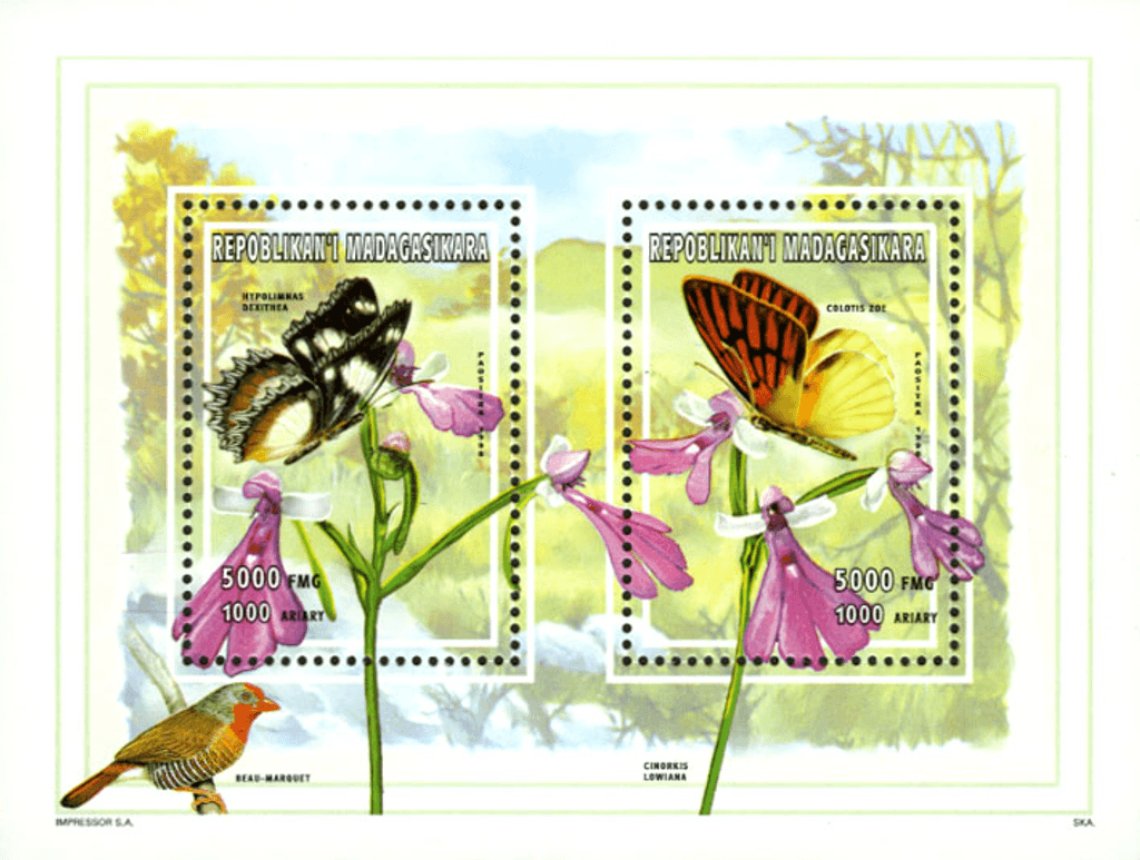 Natural: insects, mushrooms, minerals 1998