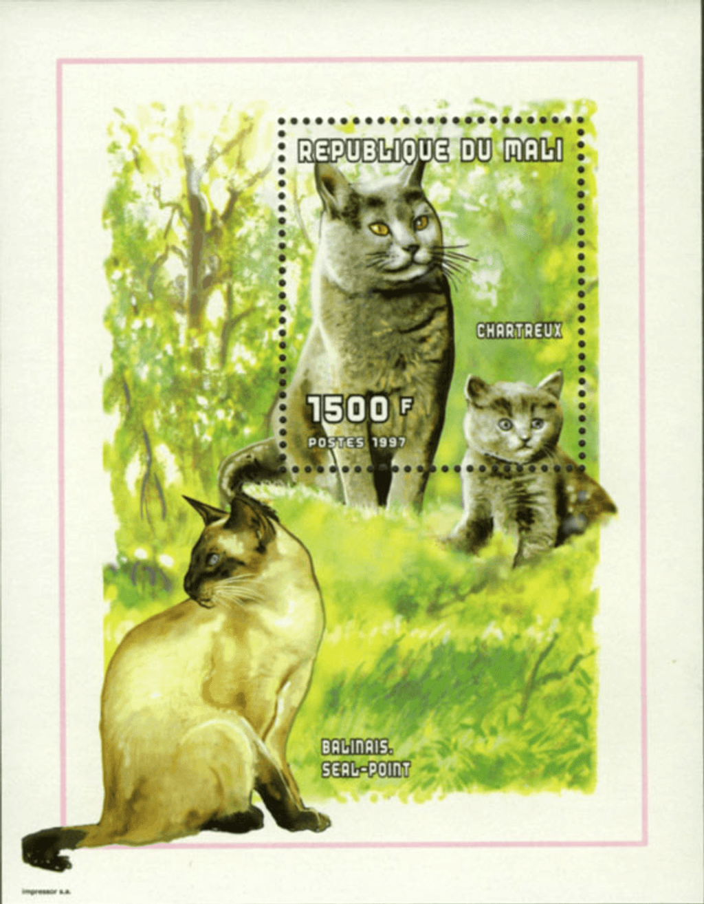Cat breeds