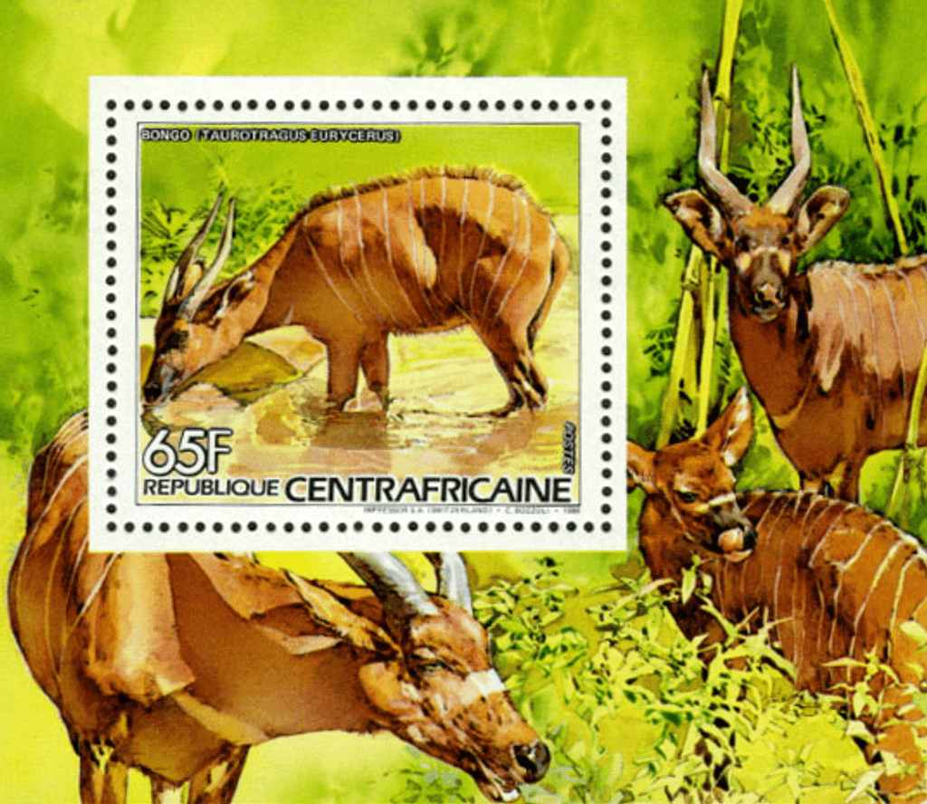 Flora and Fauna 1986