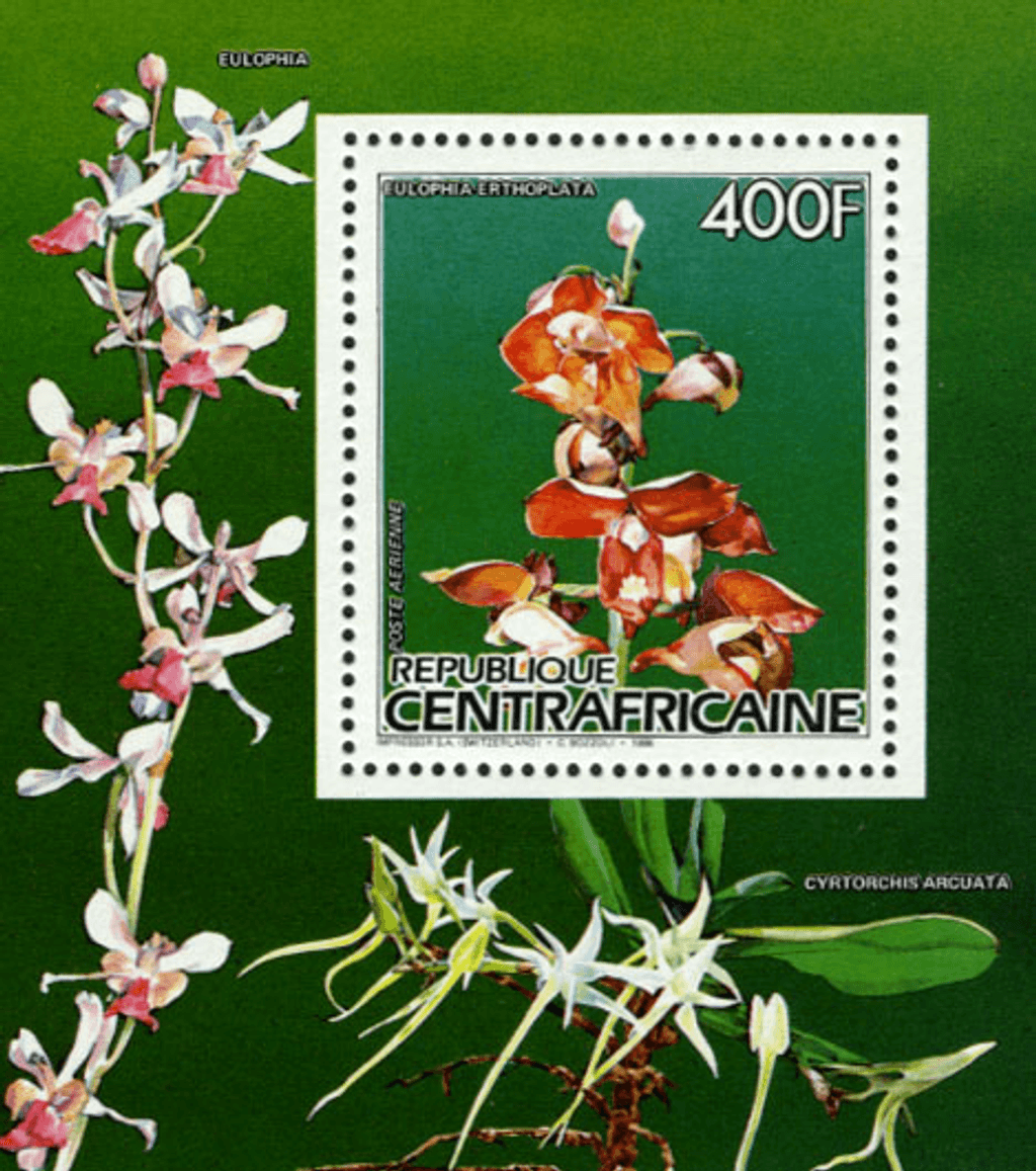 Flora and Fauna 1986