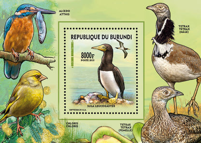Fauna & Flora : Birds 2015 (VII) Oiseaux divers