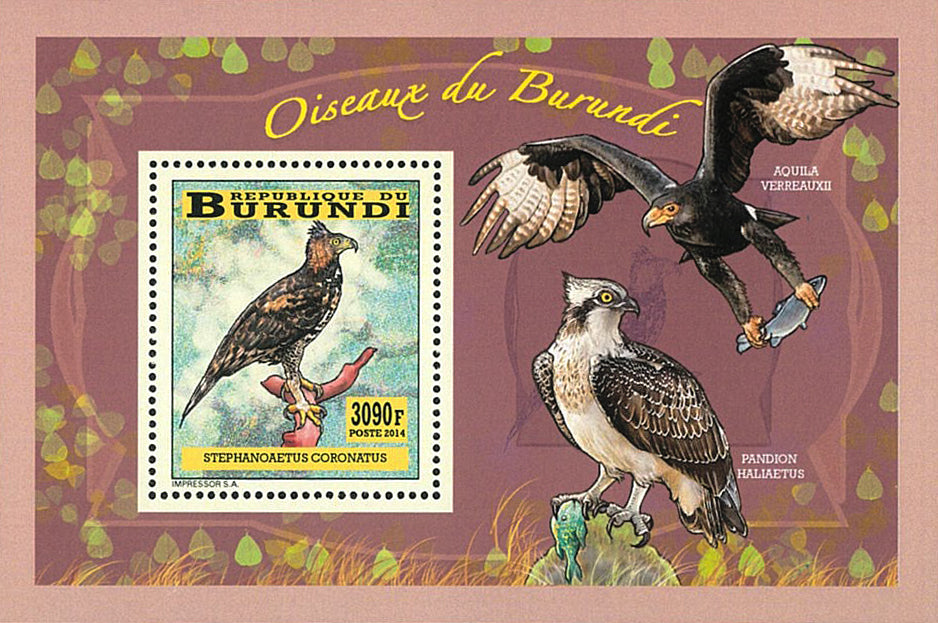 Fauna & Flora : Birds of prey