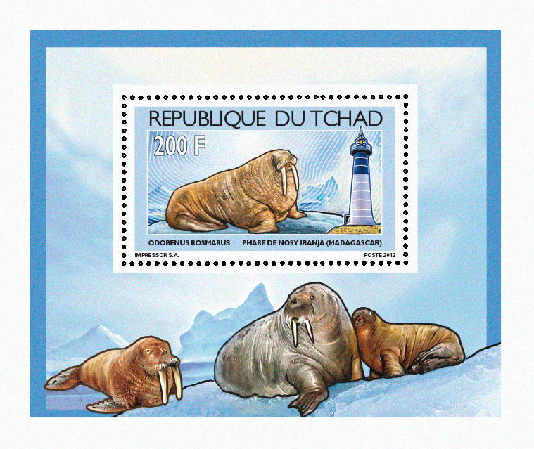 Walruses & Lighthouses 2012