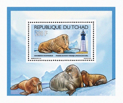 Walruses & Lighthouses 2012