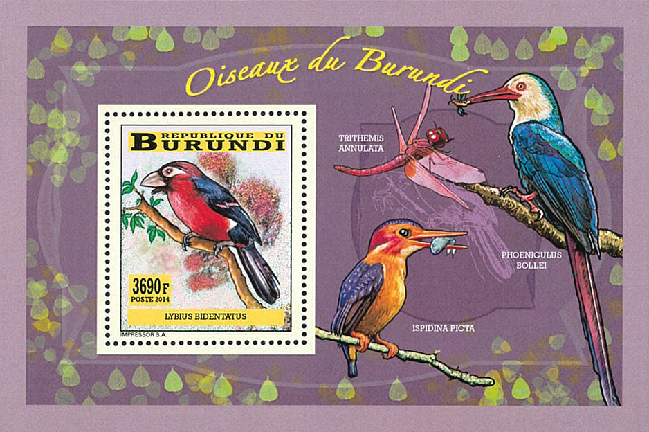 Fauna & Flora : Birds (II)