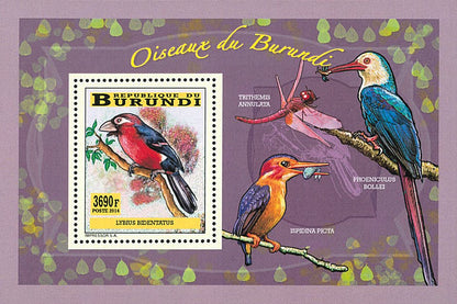 Fauna & Flora : Birds (II)