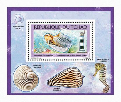 Shells & Lighthouses 2012