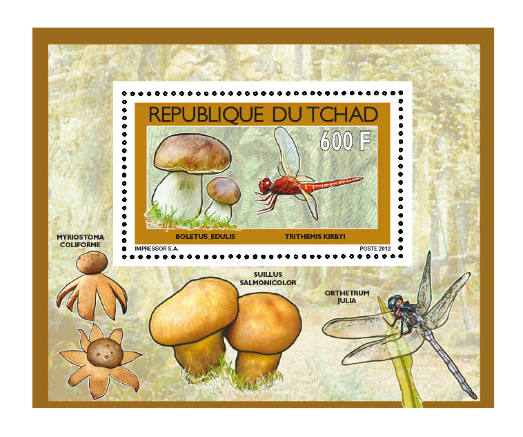 Mushrooms & Insects (2)