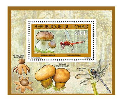 Mushrooms & Insects (2)