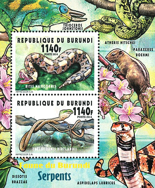 Fauna & Flora : Snakes