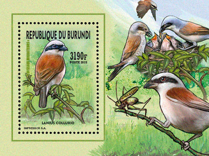 Fauna & Flora : Birds 2015 (V) Nicheurs