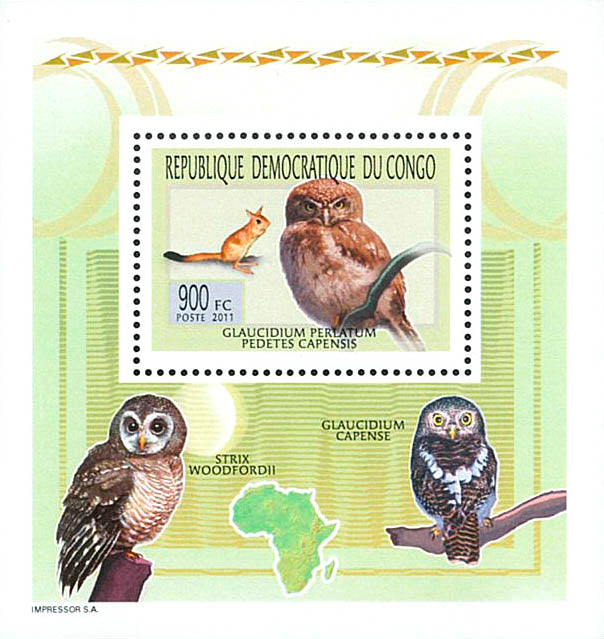 Owls - Animals (2011)