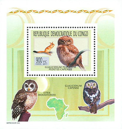 Owls - Animals (2011)