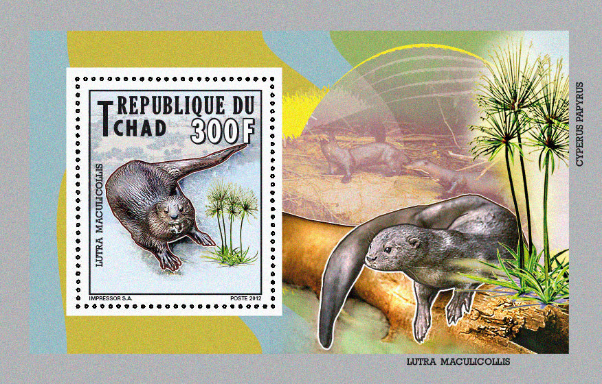 Native Mammals 2012 / Otters, Manatees, Wildlife