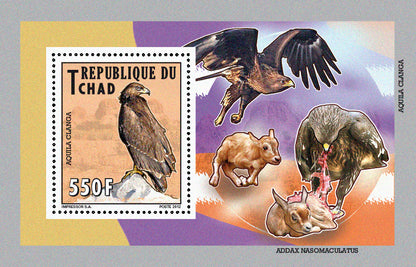 Native Mammals 2012 / Falcons & Eagles