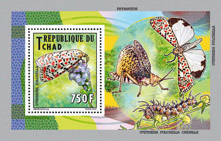 Native Mammals 2012 / Butterflies (2)