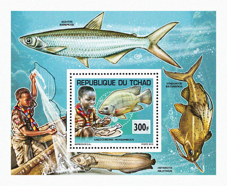 Scouting & Fishes
