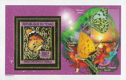 Butterflies and Caterpillars / Gold Issue