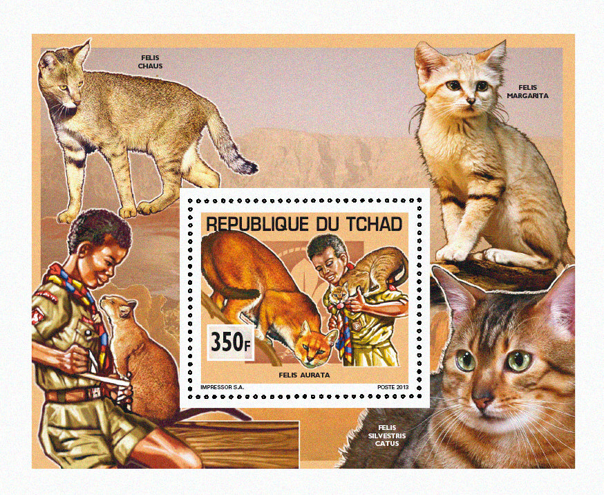 Scouting & Dogs-Cats