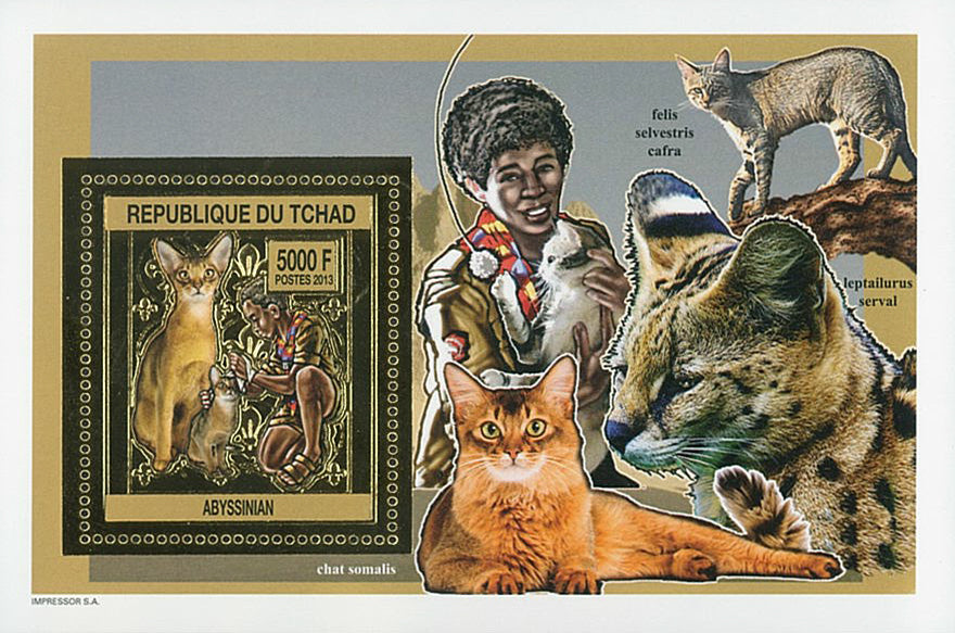 Scouting & Dogs-Cats / Gold Issue