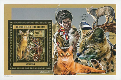 Scouting & Dogs-Cats / Gold Issue