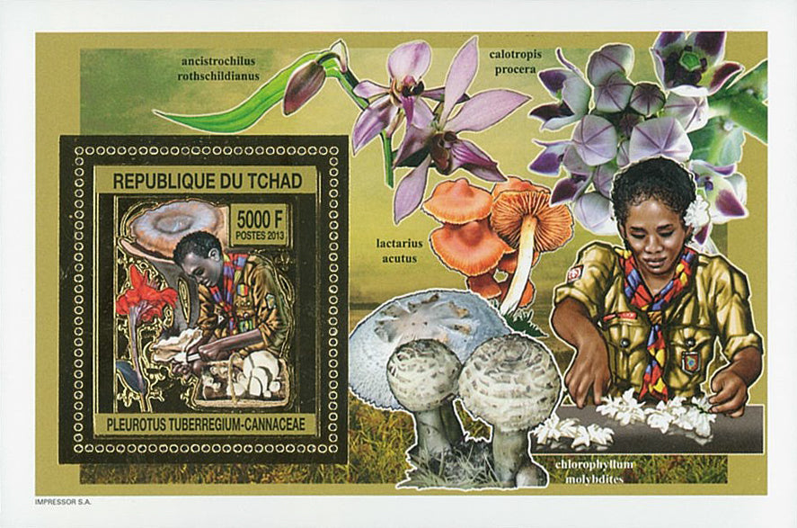 Scouting & Insects-Mushrooms / Gold Issue