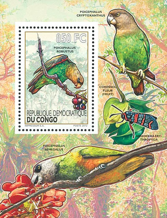 Birds / Parrots - Fauna & Flora  (2012)
