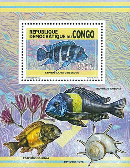 Freshwater fish / 1 (2013)