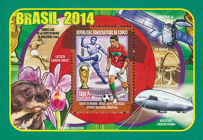 Worldcup Football / Brasil 2014 (2013)
