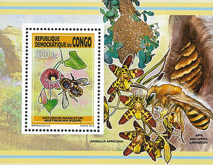 Bees & Orchids (2013)
