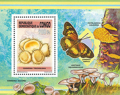Mushrooms (2013)