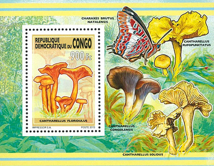 Mushrooms (2013)