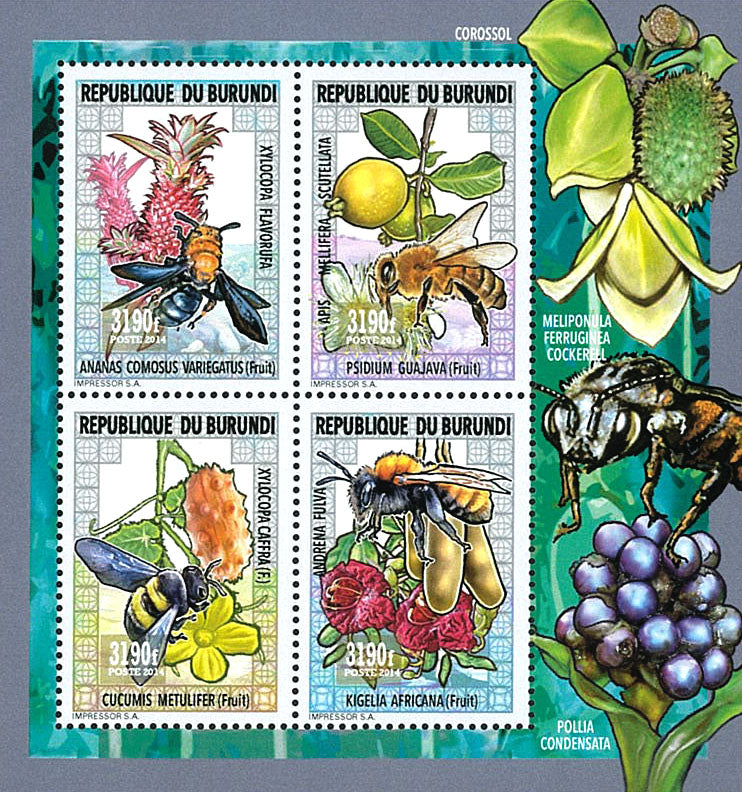 Fauna & Flora : Bees, Flowers and Fruits