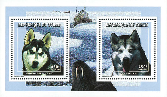 Polar Dogs