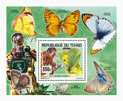 Scouting & Insects-Butterflies