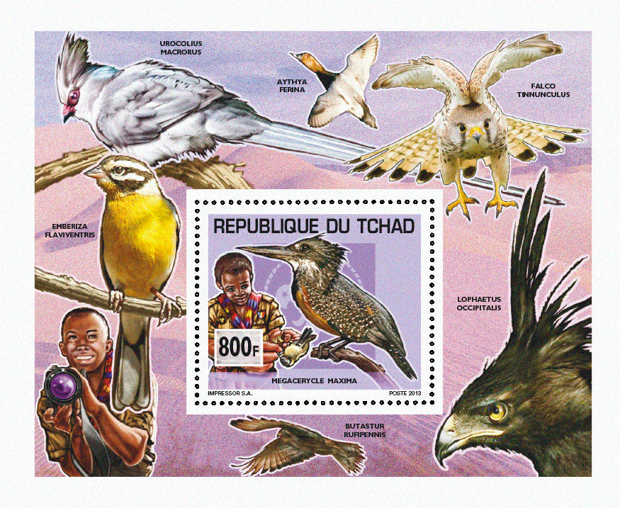 Scouting & Birds-Mushrooms