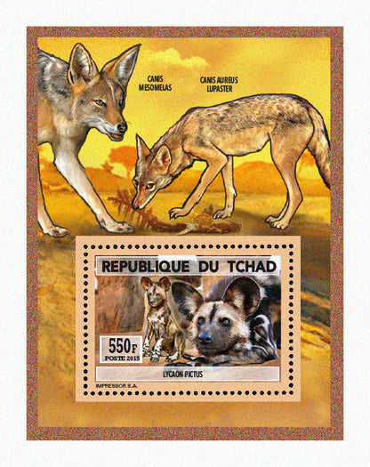 Natural History / Wild Dogs